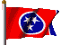 TN State Flag